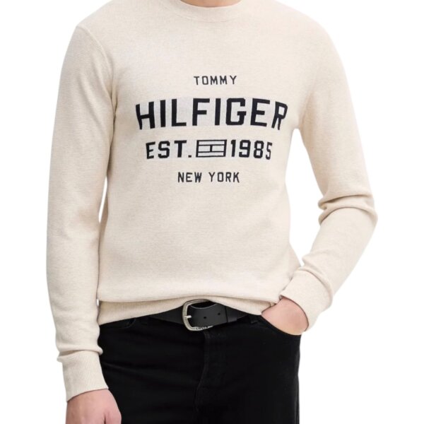 Tommy Hilfiger - Tommy Hilfiger Men Knitwear
