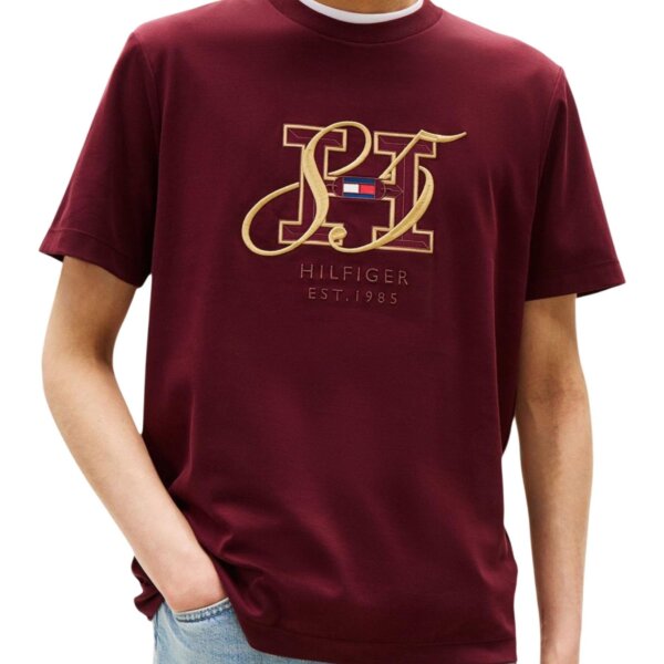 Tommy Hilfiger - Tommy Hilfiger Men T-Shirt