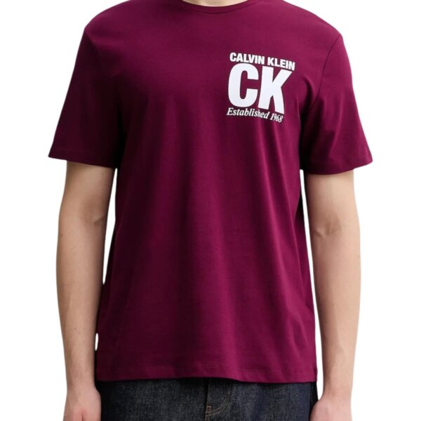 Calvin Klein - Calvin Klein Men T-Shirt